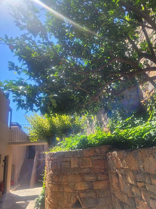 Gartenanlage Domes Aulus Elounda All-Inclusive Resort, Curio Collection by Hilton