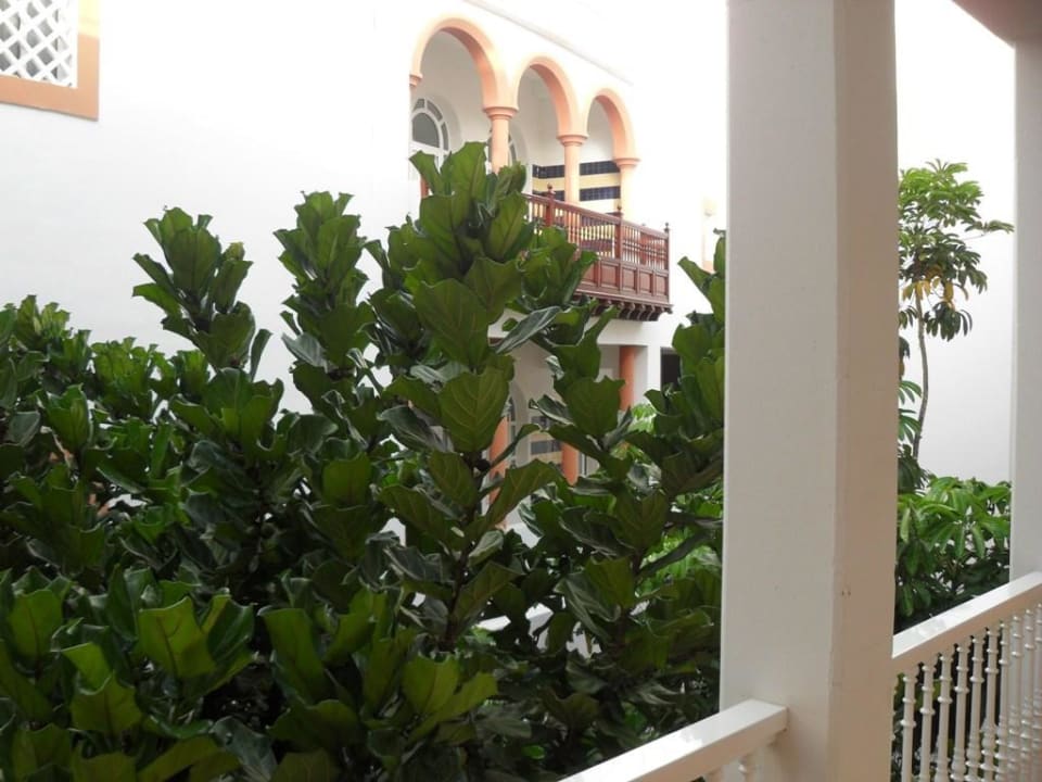 Gang zu den Zimmern Hotel Riu Palace Tenerife