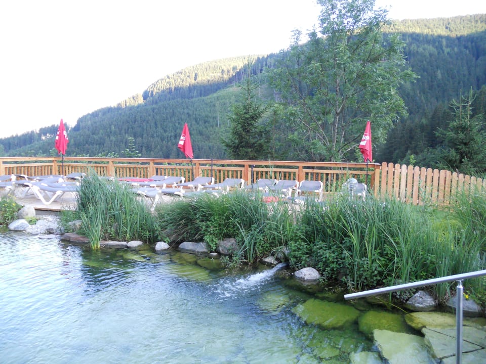 Teich Gartenhotel Daxer