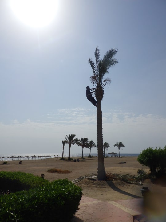 Gartenanlage Bliss Nada Beach Resort