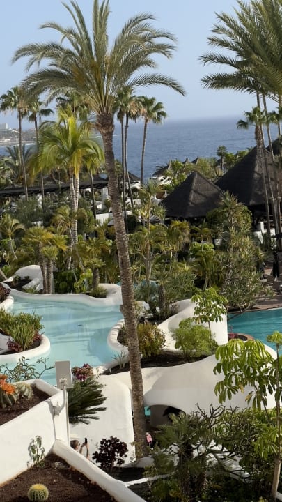 Ausblick Dreams Jardín Tropical