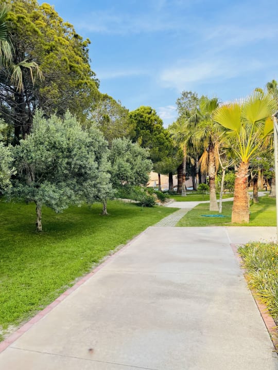 Gartenanlage Blue Waters Club