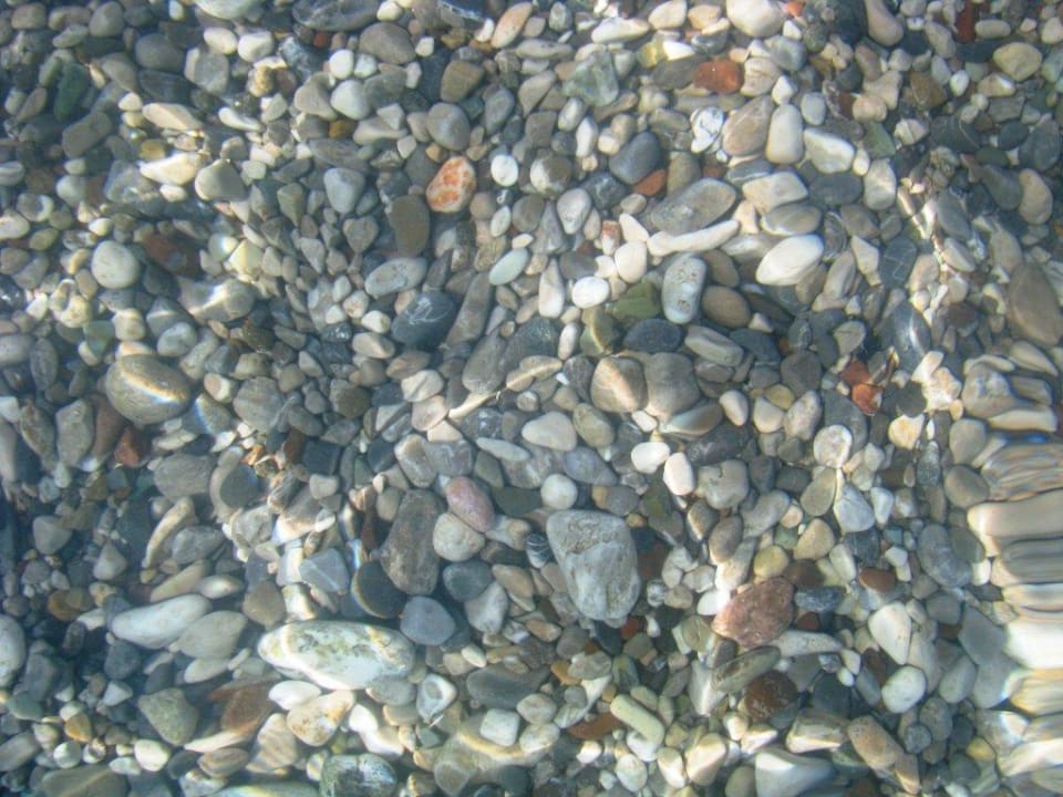Прозрачность воды у берега Corendon Playa Kemer