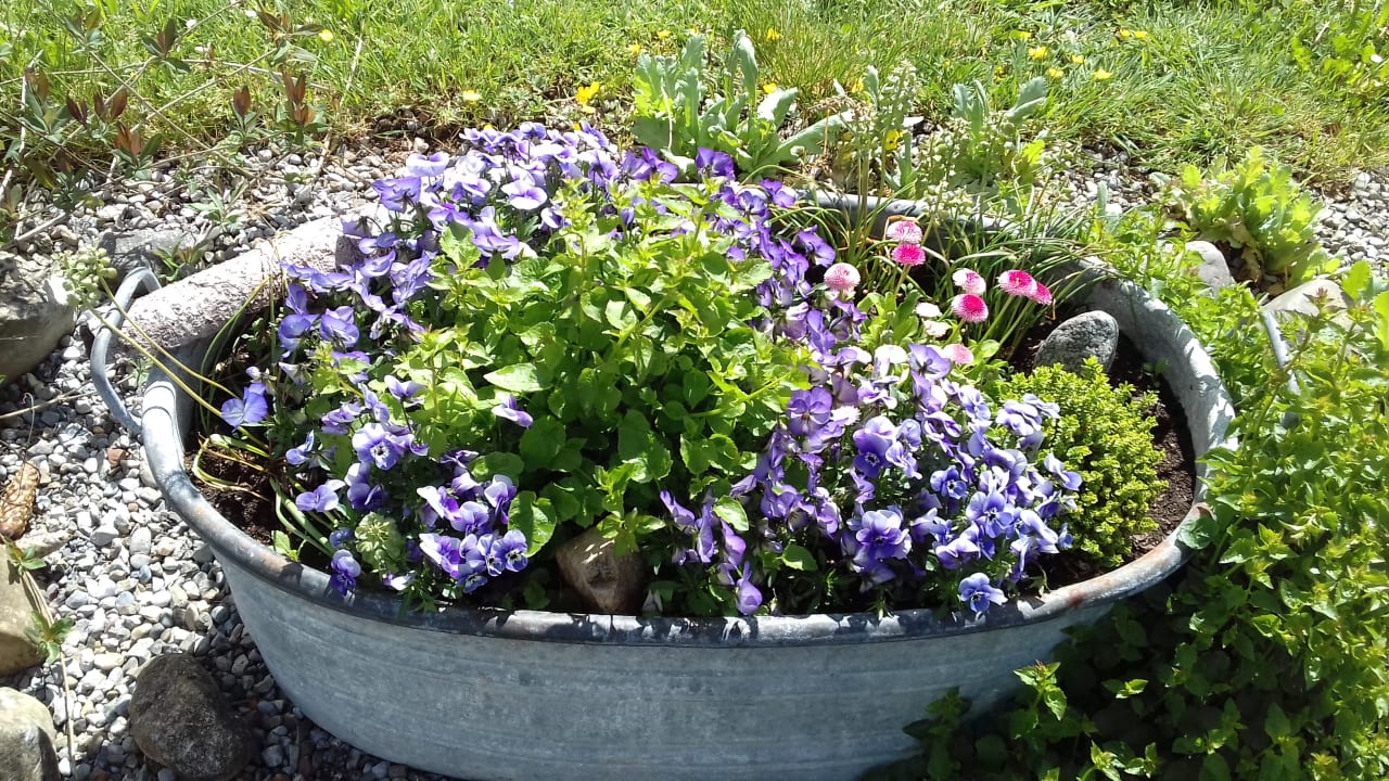 Gartenanlage Ferienhof Uebelhör