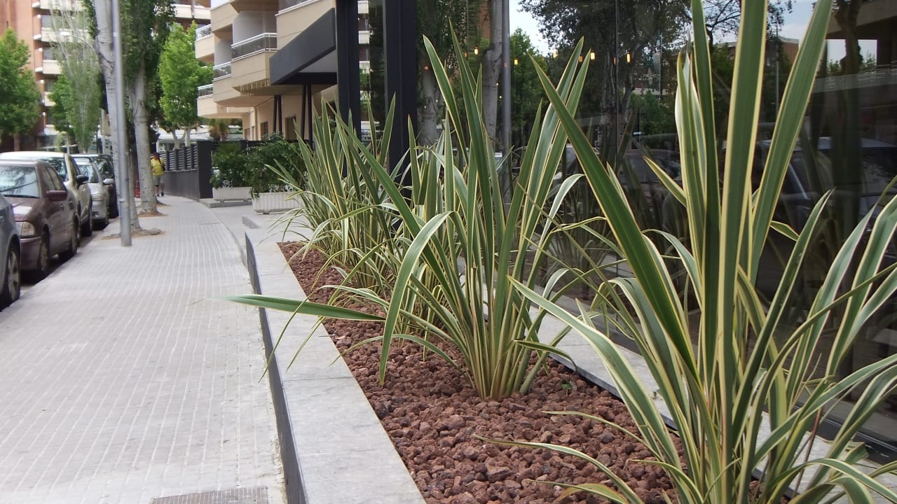 Gartenanlage California Apartments