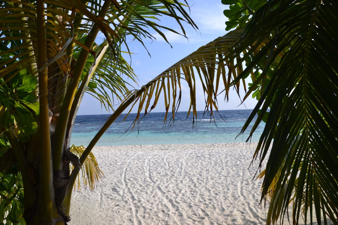 Von Beachbungi 35 ananea Diamonds Athuruga