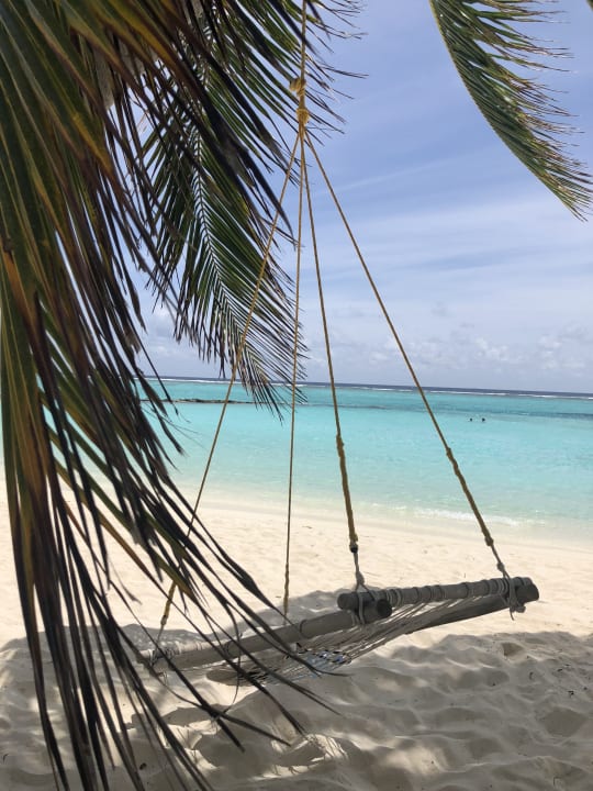 Strand Summer Island Maldives