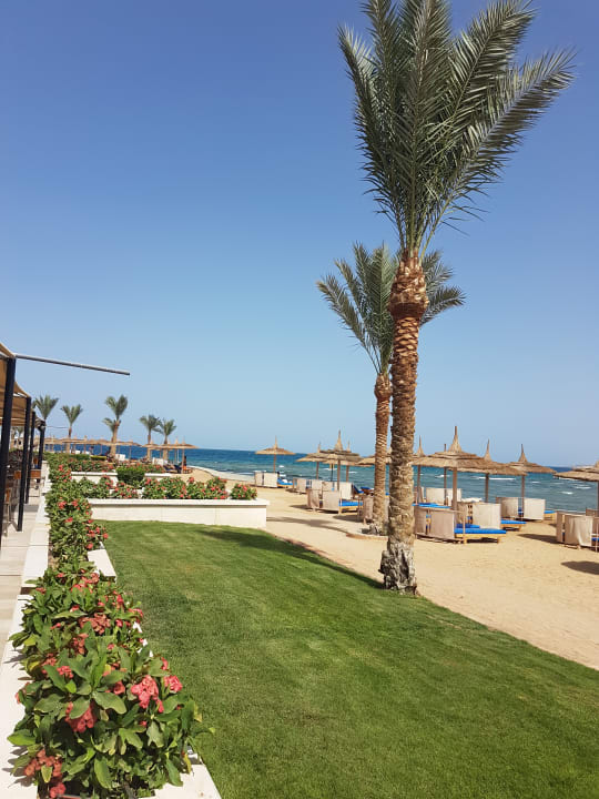 Gartenanlage Beach Albatros Resort