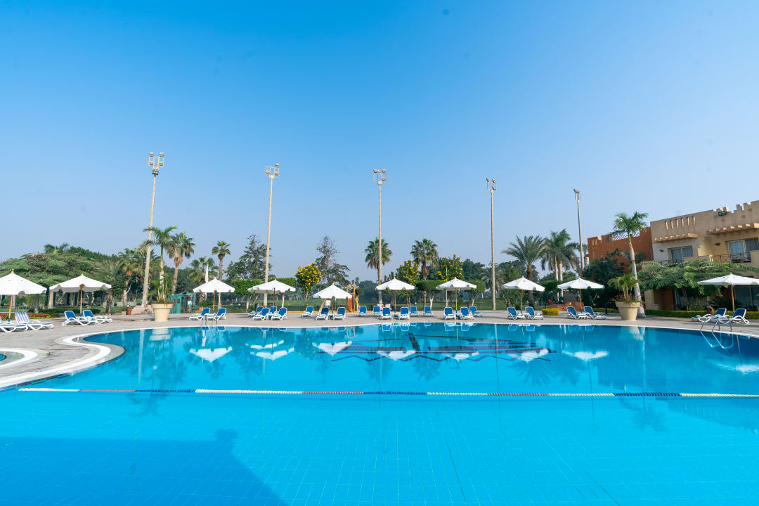 Pool Swiss Inn Pyramids Golf Resort