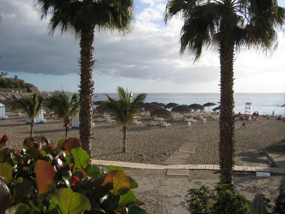 Strand an der Promenade Hotel Riu Palace Tenerife