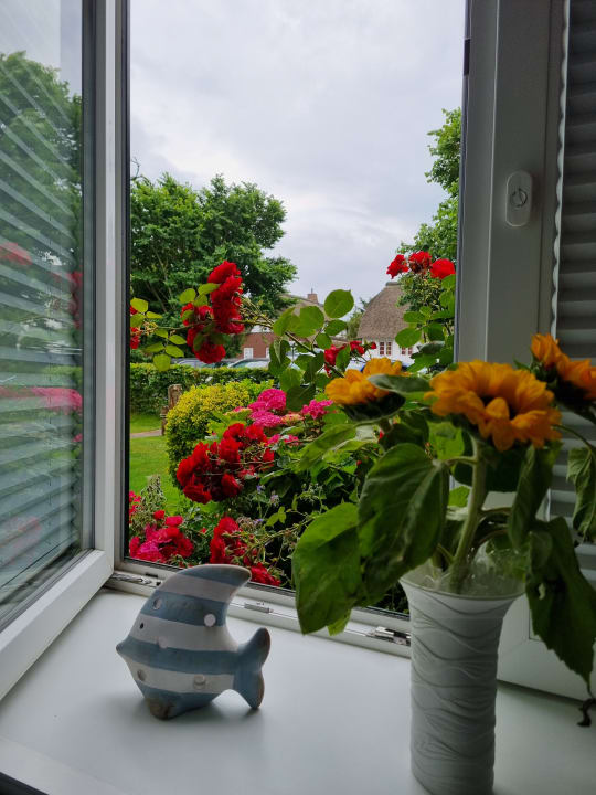 Ausblick Pension Haus Auguste