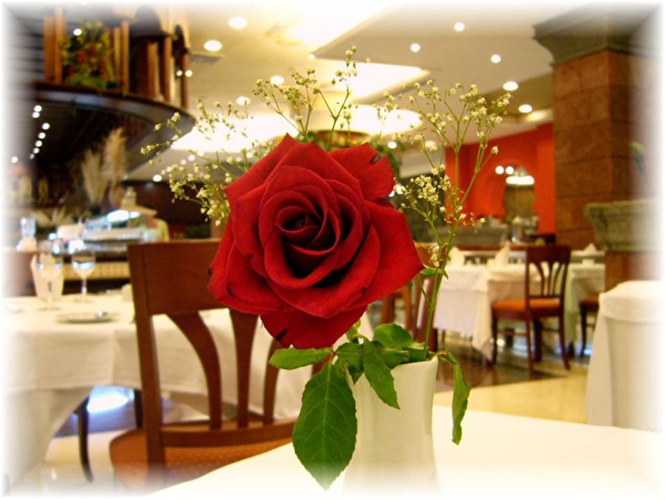 Restaurant R2 Rio Calma Hotel & Spa & Conference