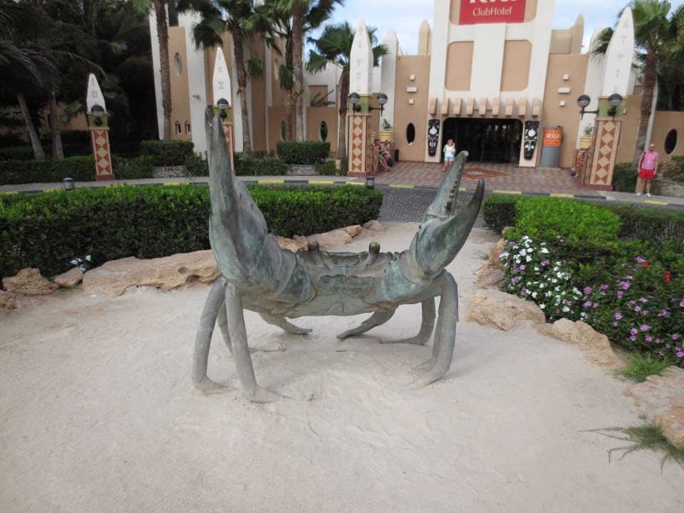 ...vor dem Hotel... Hotel Riu Funana