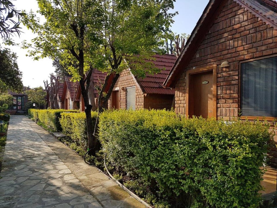 Zimmer Can Garden Beach