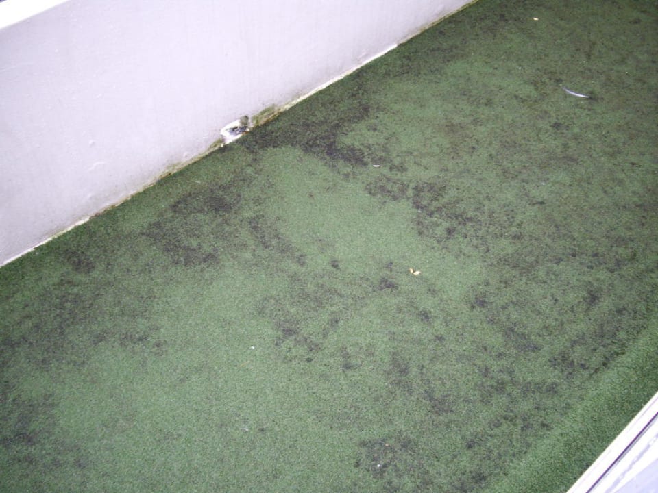 Balkon riecht wie der Hafen  Ferienwohnungen Ferienpark Weissenhäuser Strand