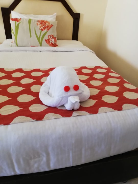 Zimmer Continental Hotel Hurghada