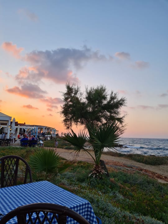 Sonstiges Alexander Beach Hotel & Village Resort