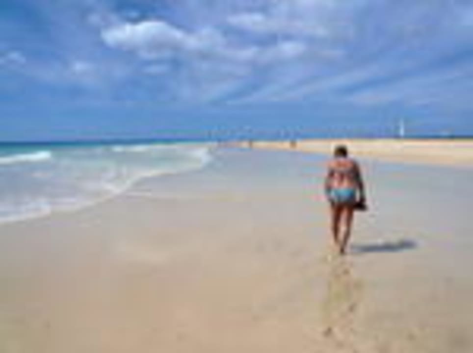 Traumstrand vor dem Hotel Iberostar Selection Fuerteventura Palace