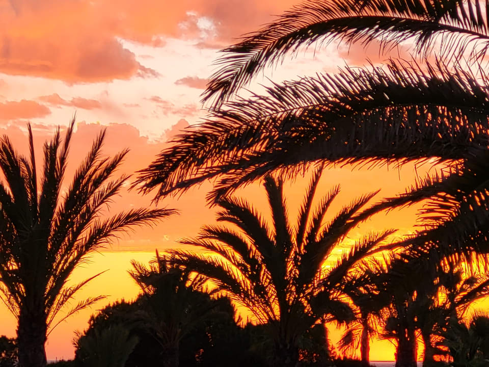 Gartenanlage Hotel Riu Chiclana