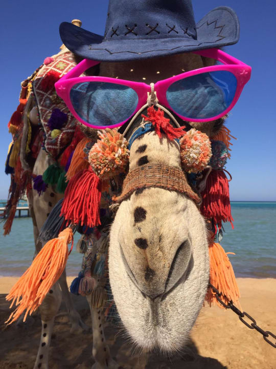 Strand Riviera Aqua Park Resort