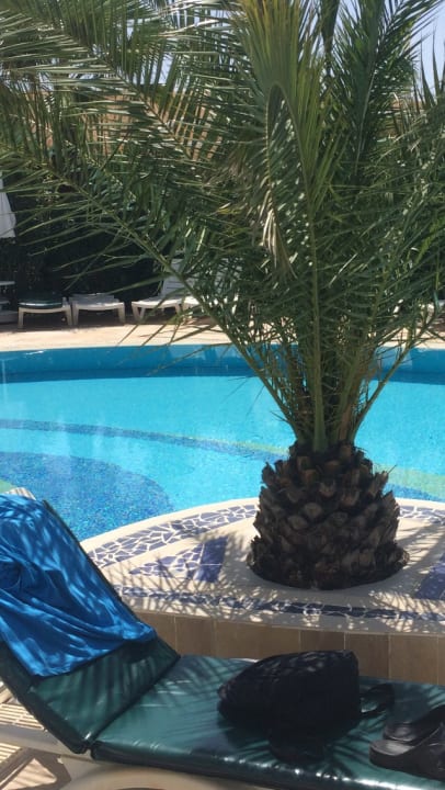 Pool Calimera Hane Garden