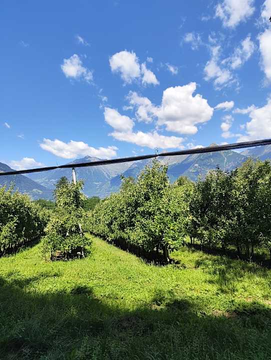 Ausblick Prinz Rudolf Smart Hotel