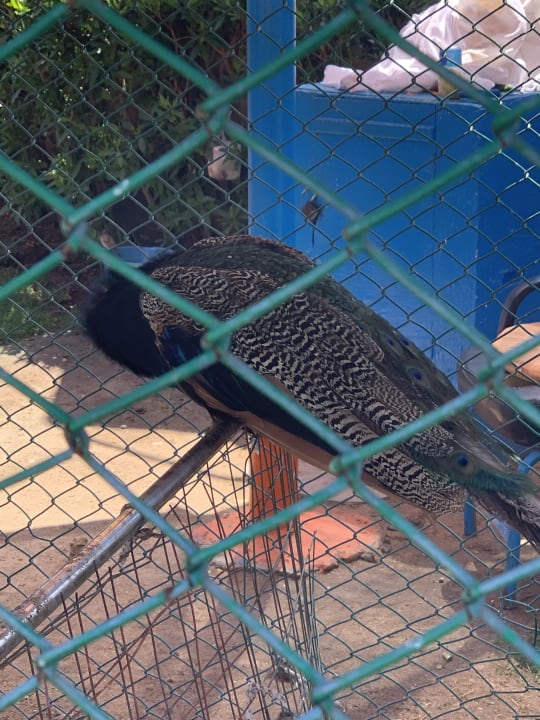 Gartenanlage Riviera Aqua Park Resort