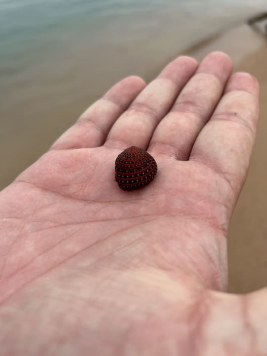Strand The Grand Hotel Hurghada