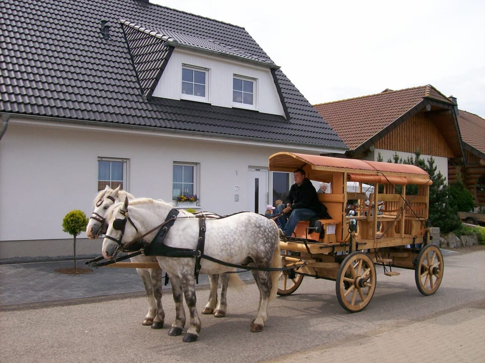 Sport & Freizeit Gästehaus Haus am Hahnenberg