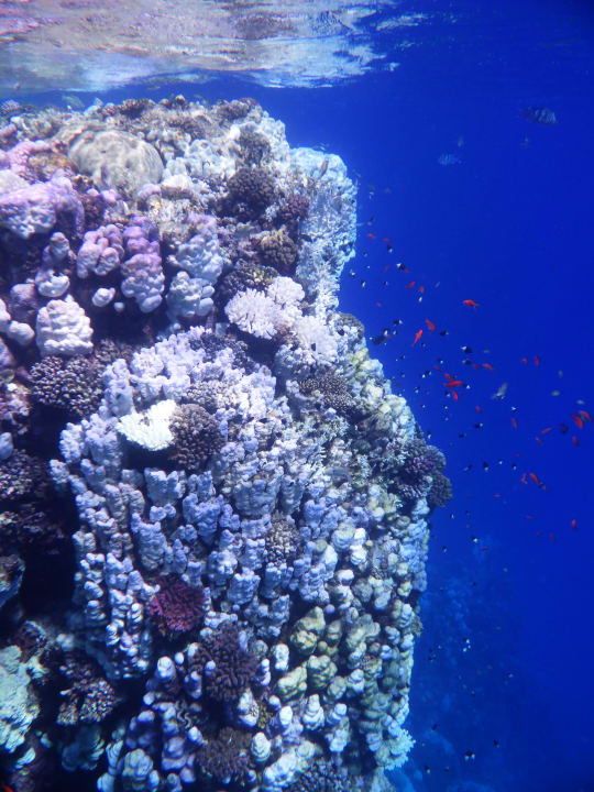 Strand Bliss Nada Beach Resort