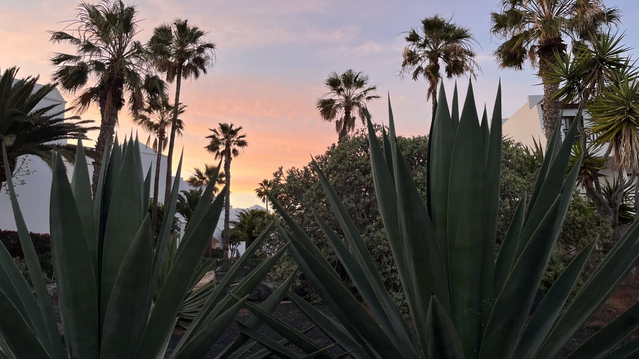 Gartenanlage allsun App.-Hotel Albatros