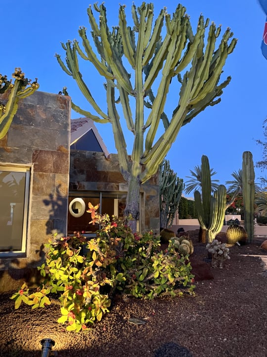 Gartenanlage allsun Hotel Esplendido
