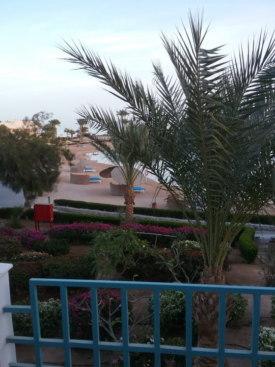 Ausblick Mövenpick Resort & Spa El Gouna