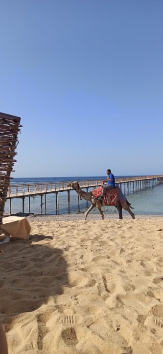Strand Lazuli Hotel Marsa Alam