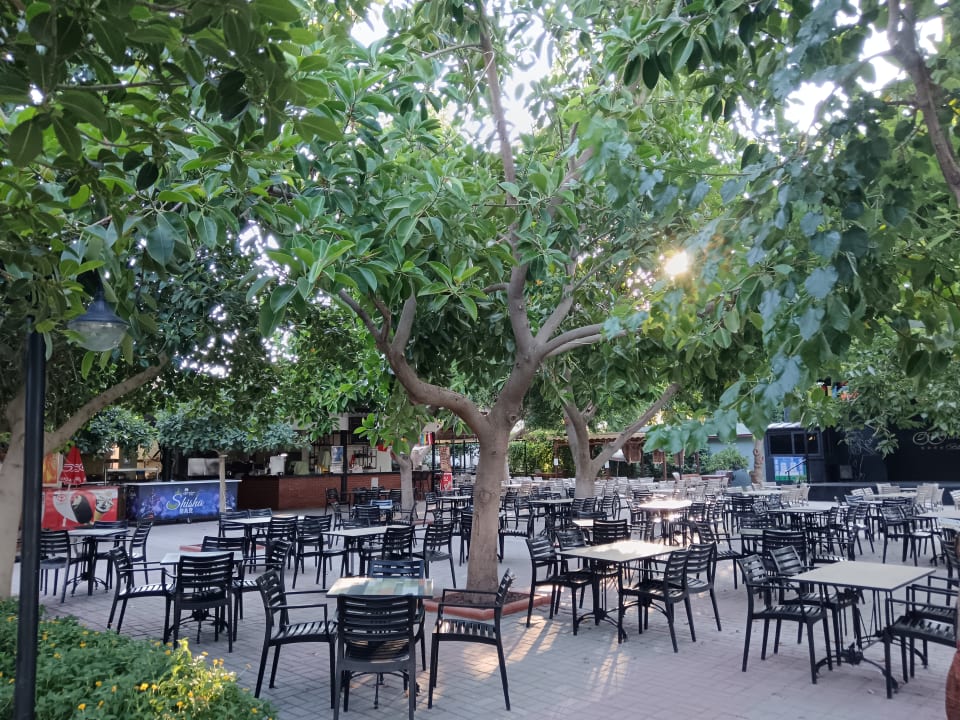 Strand Hotel Gardenia Beach