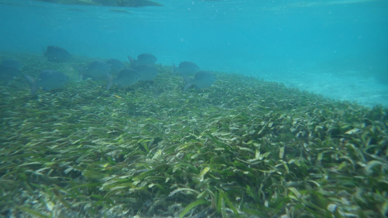 Sonstiges Adaaran Select Hudhuran Fushi - Premium All Inclusive