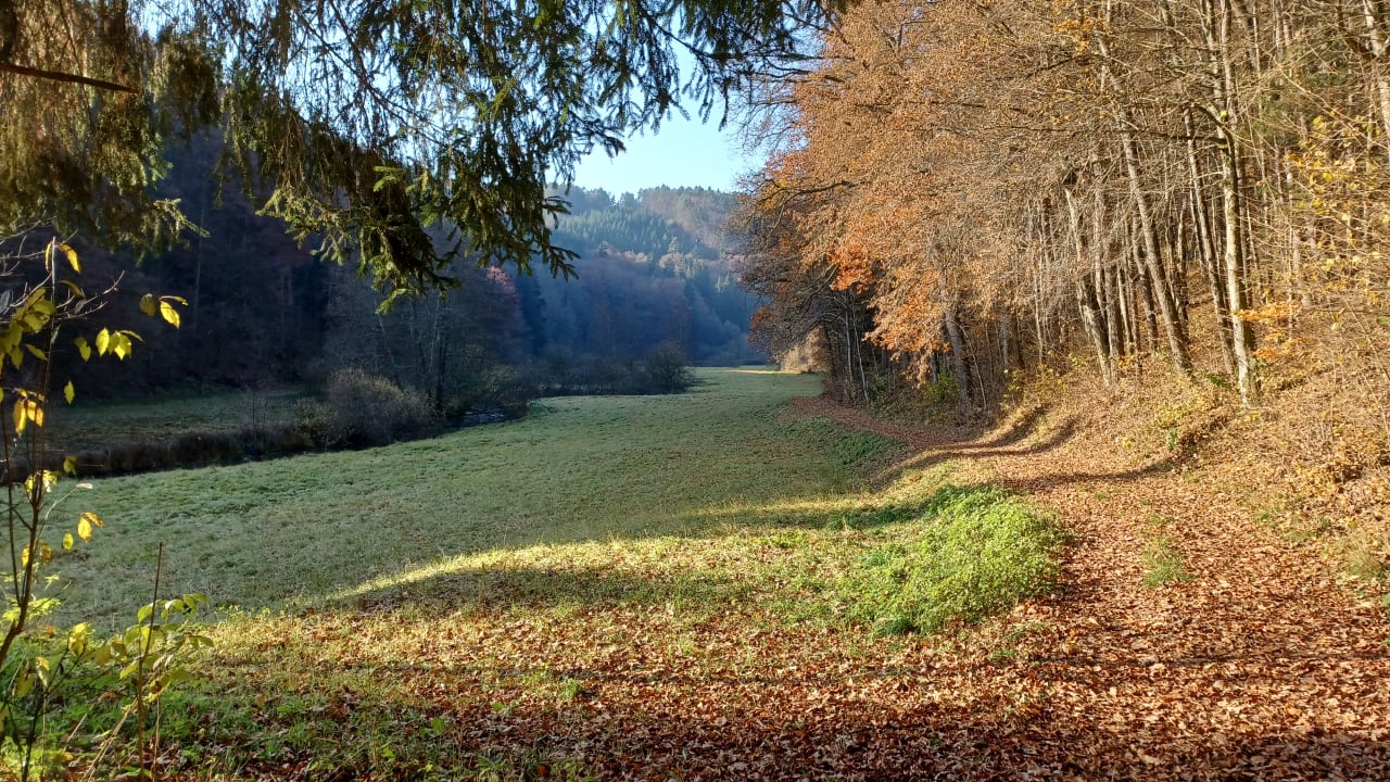 Außenansicht Landhaus Sponsel-Regus