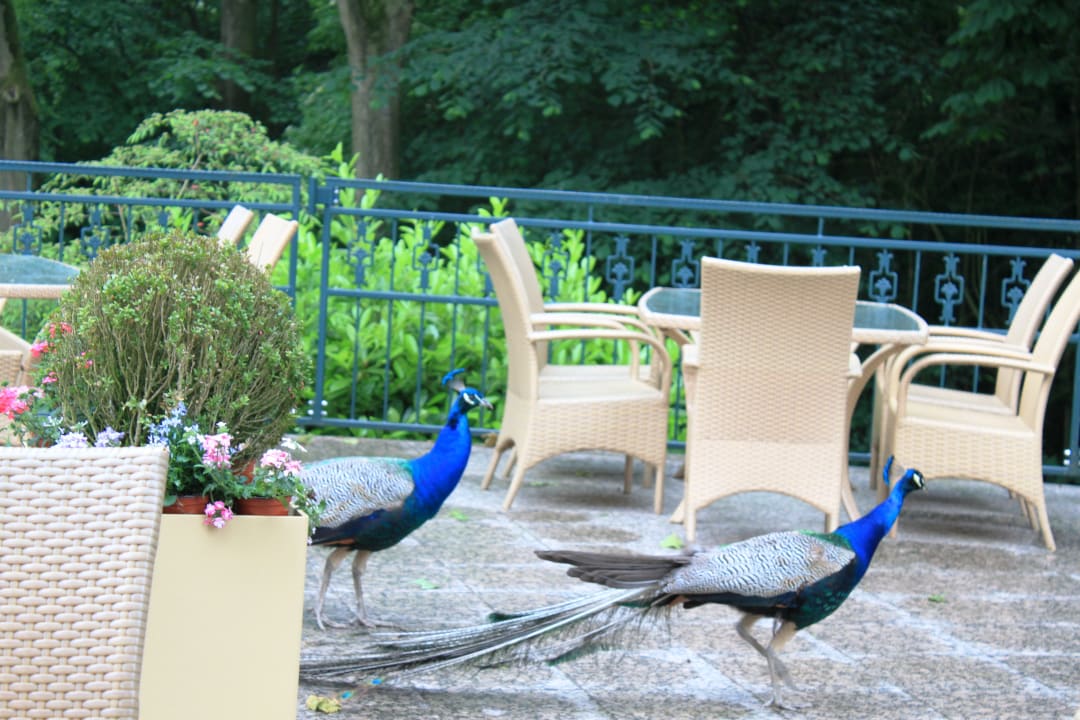 Gartenanlage AKZENT Hotel Höxberg