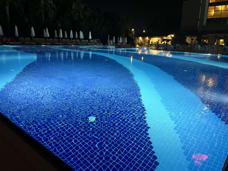 Pool Well Palace Side