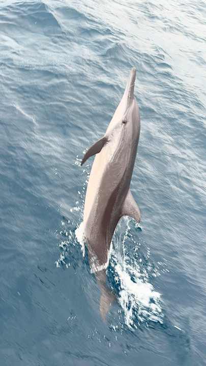 Sport & Freizeit Sun Siyam Olhuveli