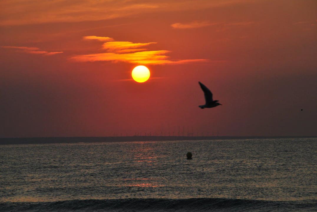 Sonnenaufgang Flamingo Grand Hotel & Spa