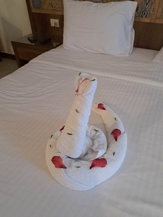 Zimmer Lazuli Hotel Marsa Alam