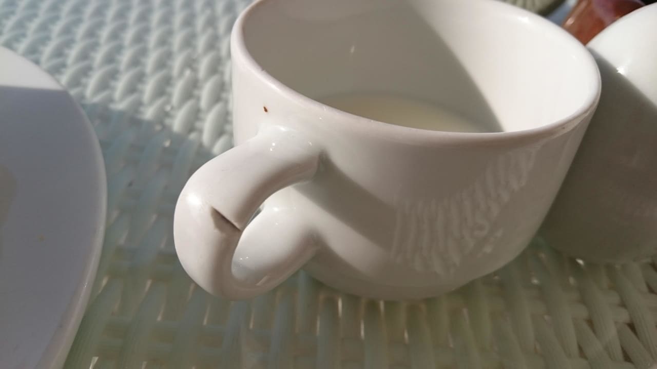 Kaputtes Geschirr Beach Albatros Resort