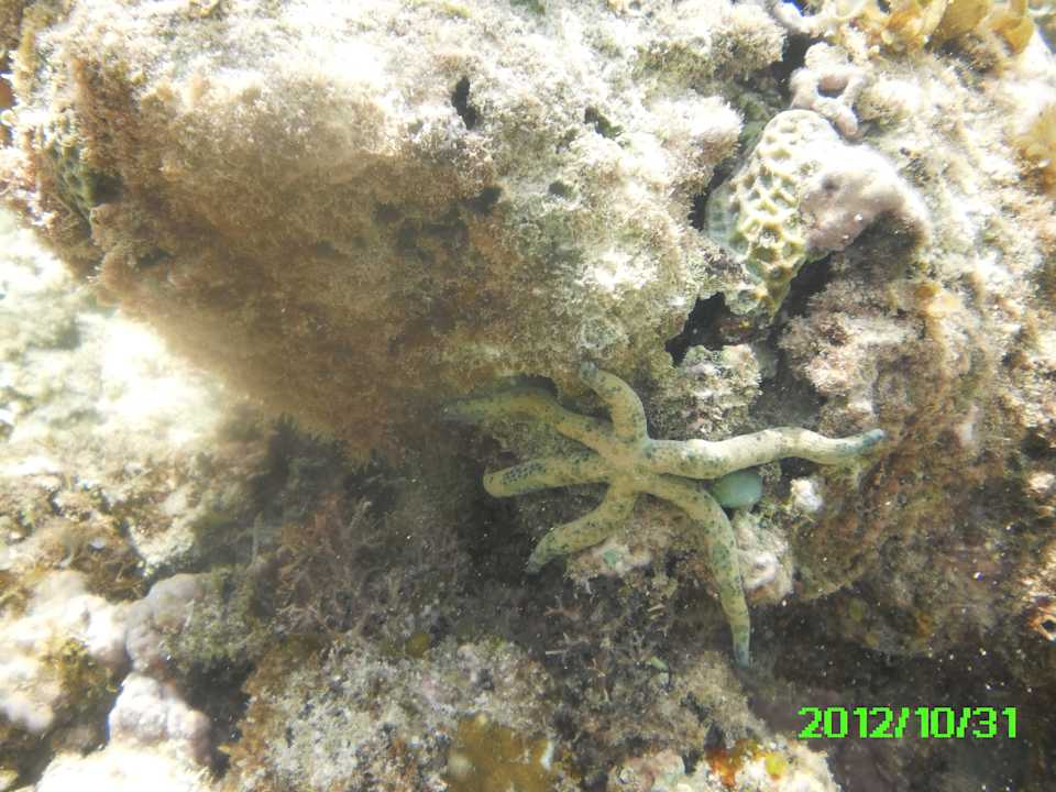 Unterwasser Hotel Papillon Lagoon Reef