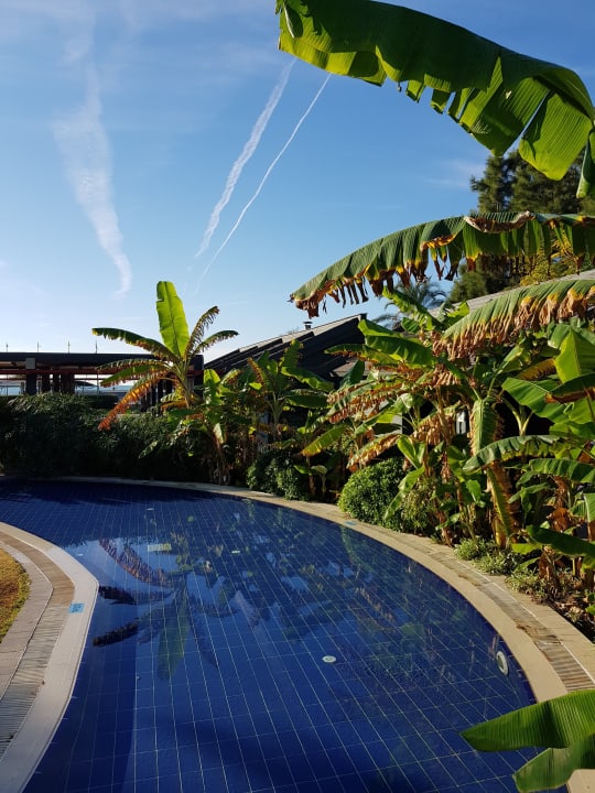 Gartenanlage Limak Lara Deluxe Hotel & Resort