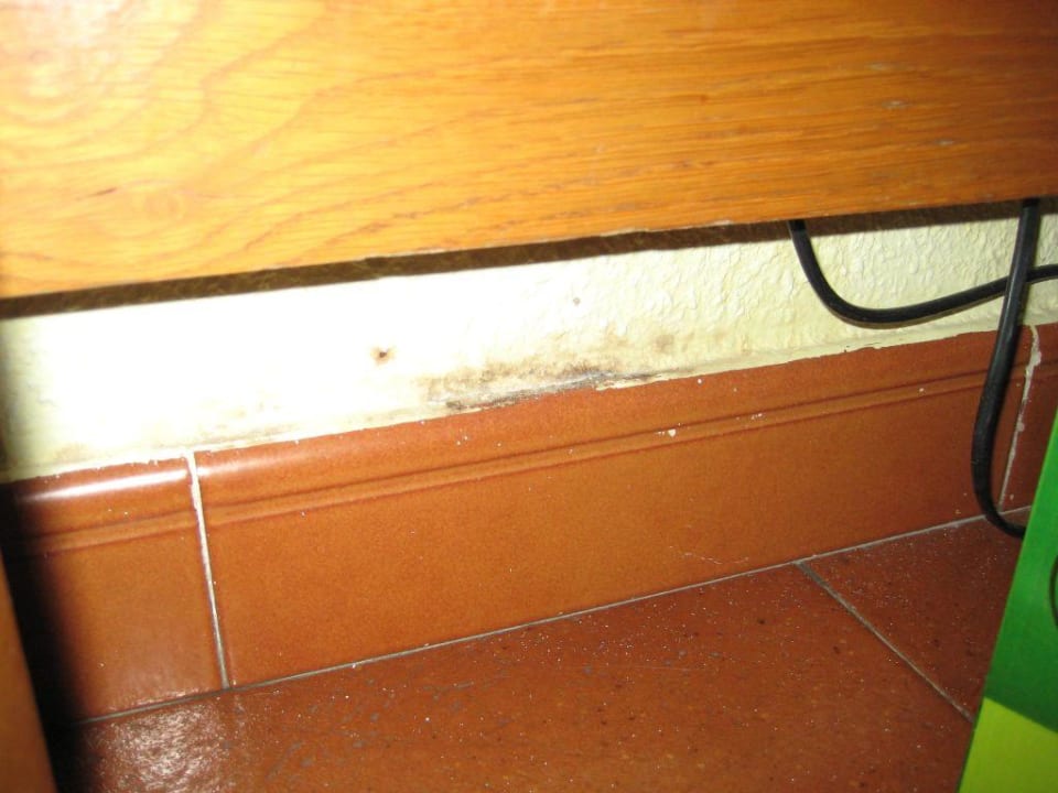 Verschimmelte Tapete an der Fussleiste Hotel Palmasol