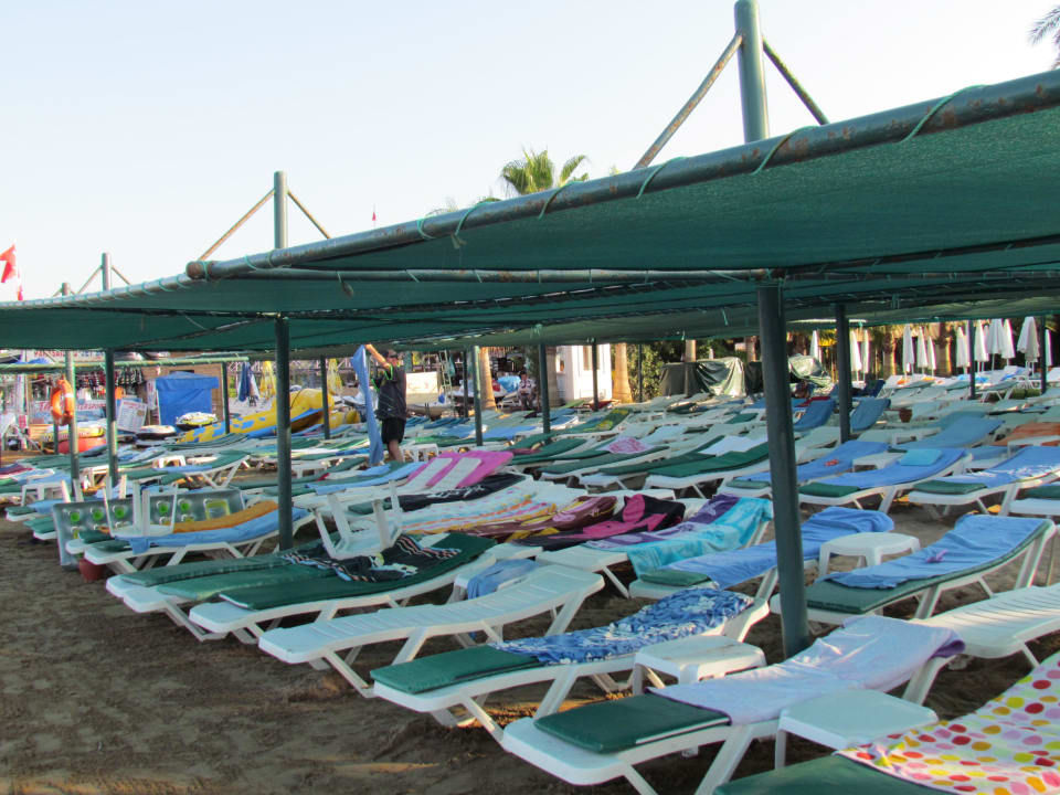 Reichlich überdachte Liegen Trendy Palm Beach (Adults Only, 16+)