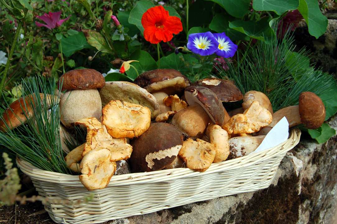 Au fil des saisons Hotel Château d'Ygrande