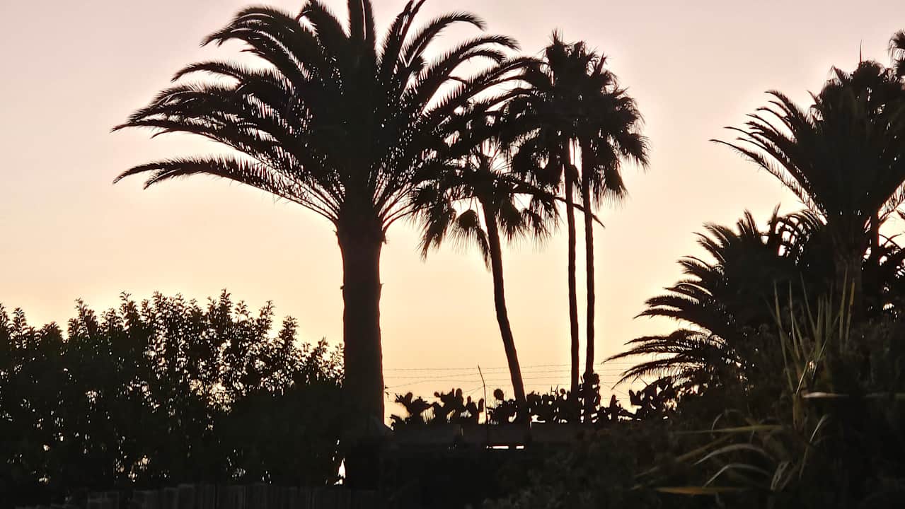 Außenansicht Hotel Riu Palace Maspalomas Adults Only
