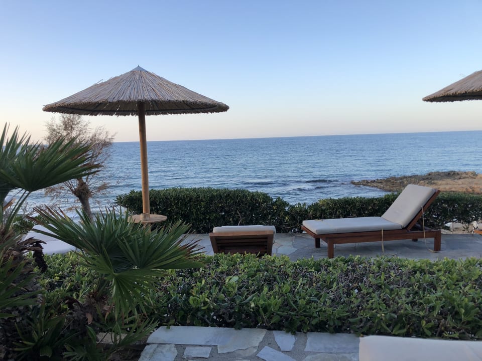 Gartenanlage Alexander Beach Hotel & Village Resort